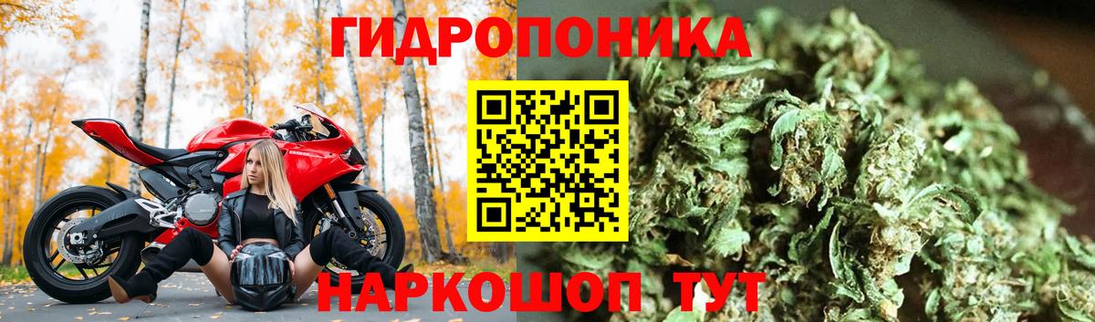 Каннабис AK-47 Темрюк